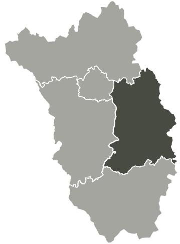 Thomastown Electoral Area Kilkenny